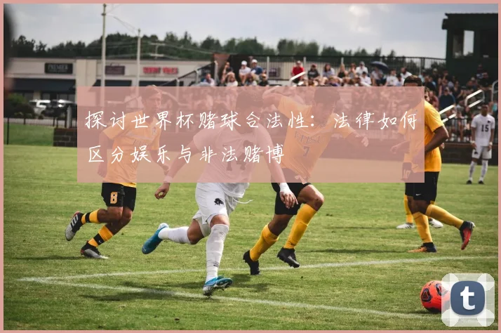 探讨世界杯赌球合法性:法律如何区分娱乐与非法赌博