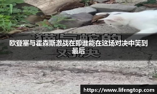金年会官方网站